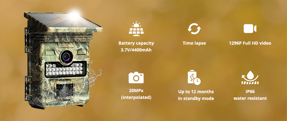 Wachman Solar Lite solkraftad trailkamera